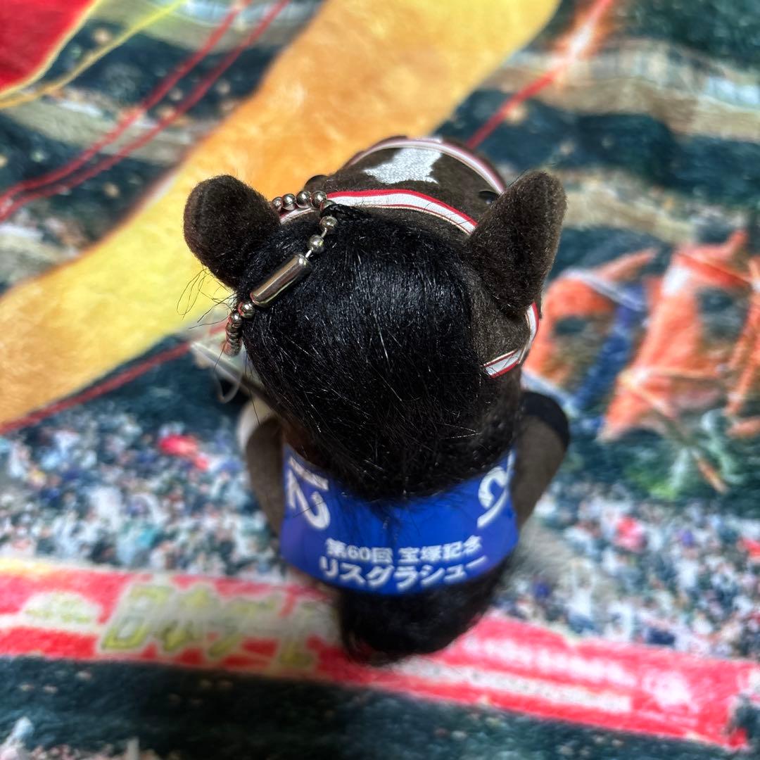 リスグラシュー　宝塚記念　アイドルホース　Sサイズ