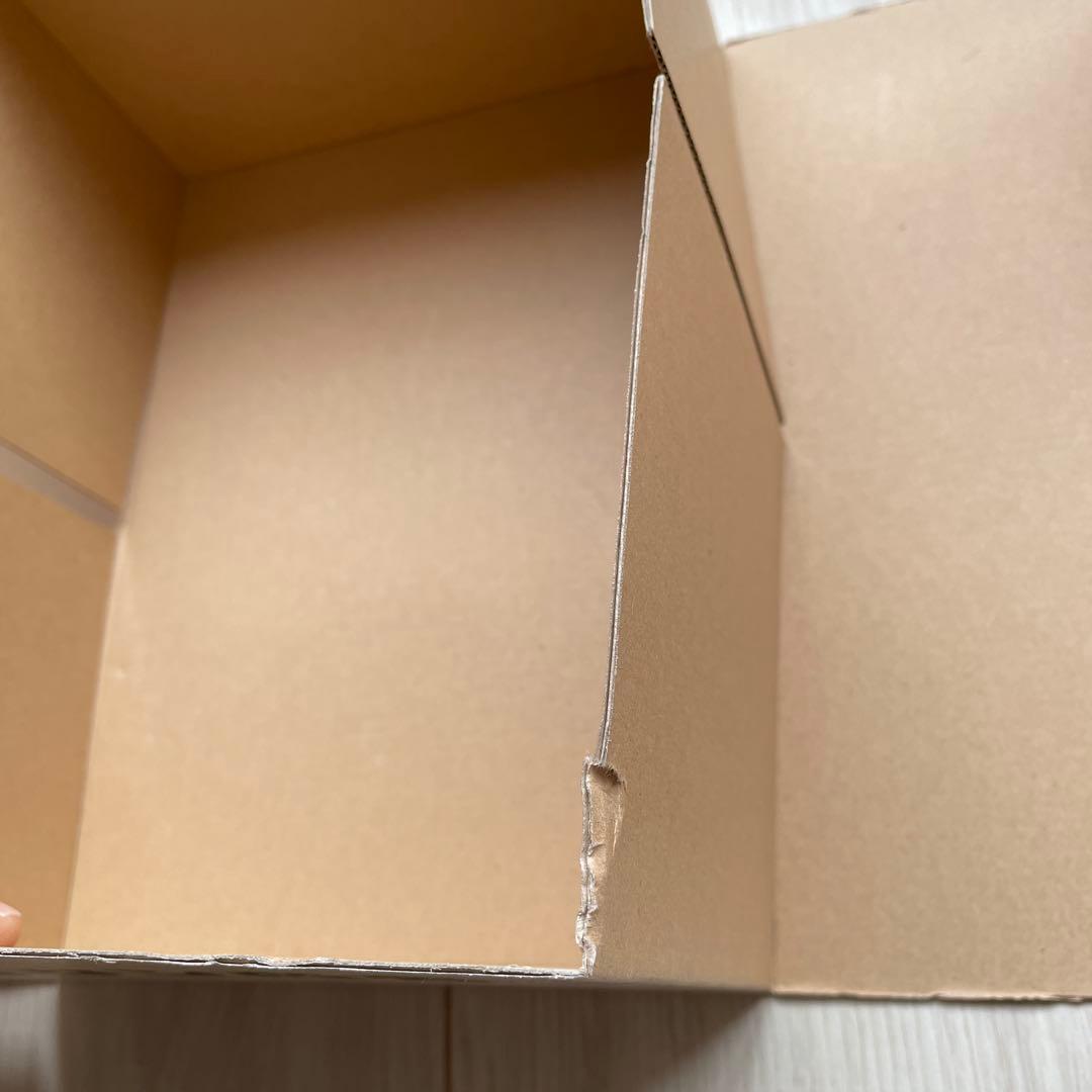 ビリケン商会 謹製 リアルモデルキットシリーズ/逆襲版ゴジラ(ゴジラの逆襲)