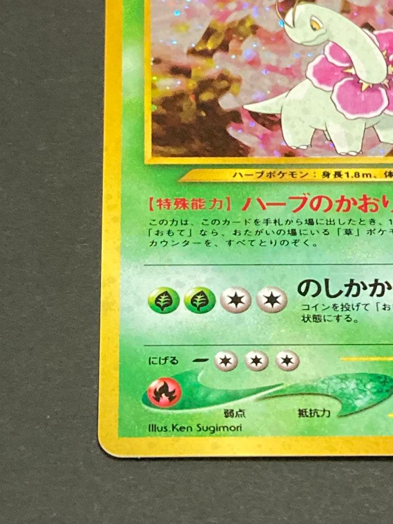 《最終値下げ》《美品》旧裏 プロモセット バクフーン　オーダイル　メガニウム