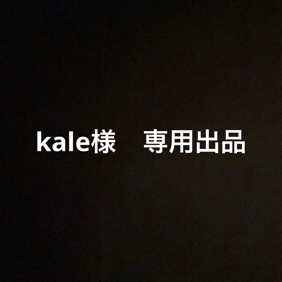 kale　PILOT オートマック E500 シャープペンシル　2本セット