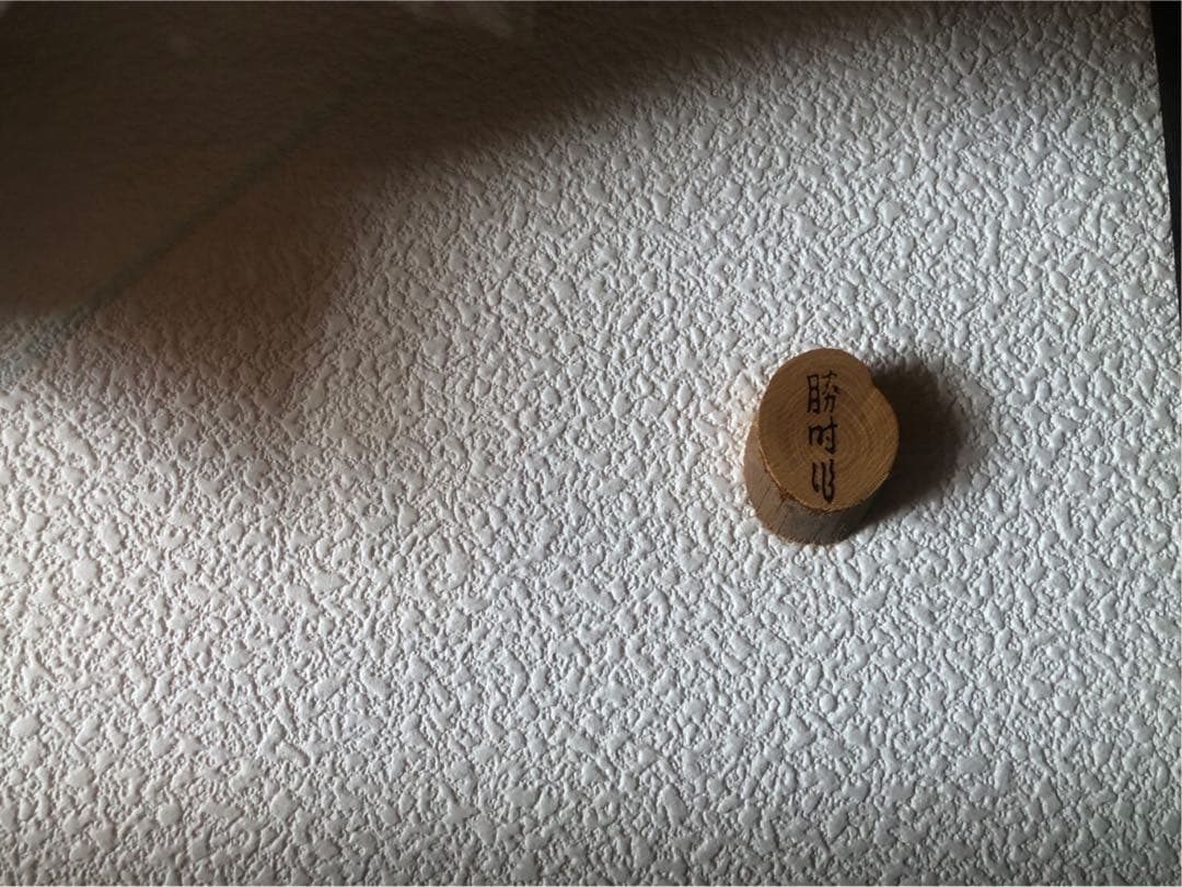 イワナの標本 剥製　木製フレーム 約30cm