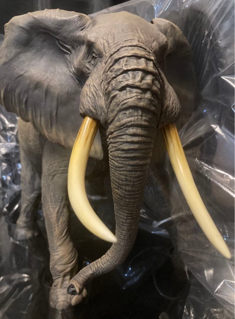 【初期カラー】アフリカゾウ ビッグフィギュア ◆ メガソフビアドバンス