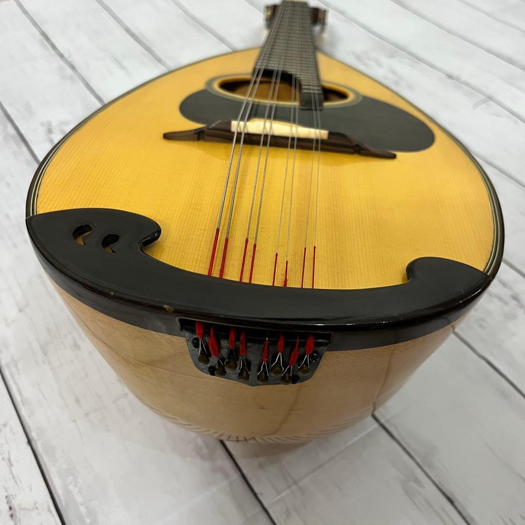 SUZUKI M-30 マンドリン 本体 ハードケース 弦 ピック付き！