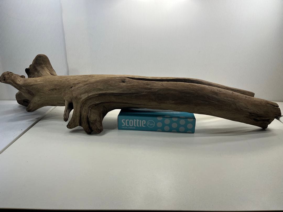 W27特大流木 アク抜き済み流木 爬虫類シェルター 登り木 インテリア 生け花