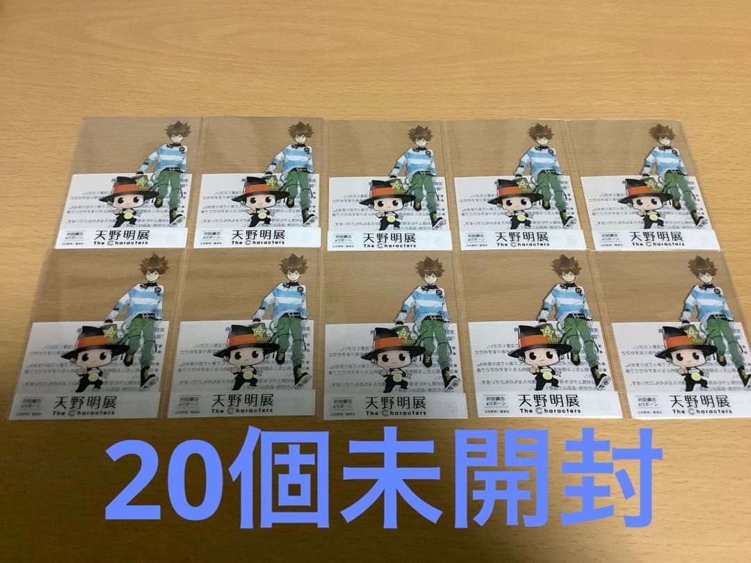 天野明展　入場者特典　20枚　クリアカード　沢田綱吉　ツナ　リボーンREBORN