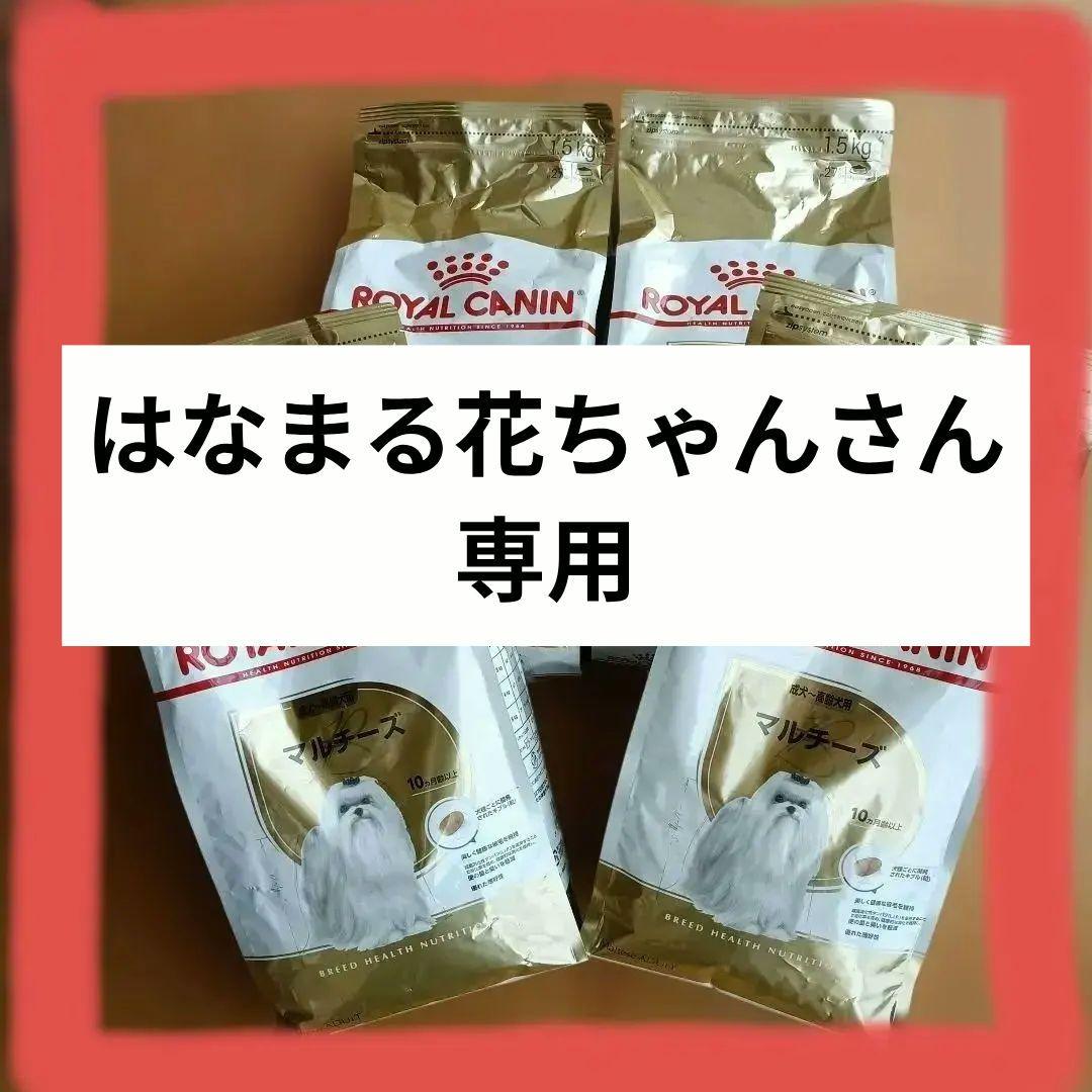  CANIN マルチーズ ドライフード 1.5kg×4袋