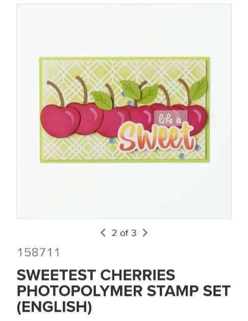 お値下！未使用　さくらんぼパンチとスタンプ　スタンピンアップ　cherry