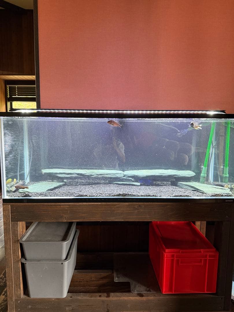 【最終】EHEIMポンプ付き大型水槽等一式（フルセット）