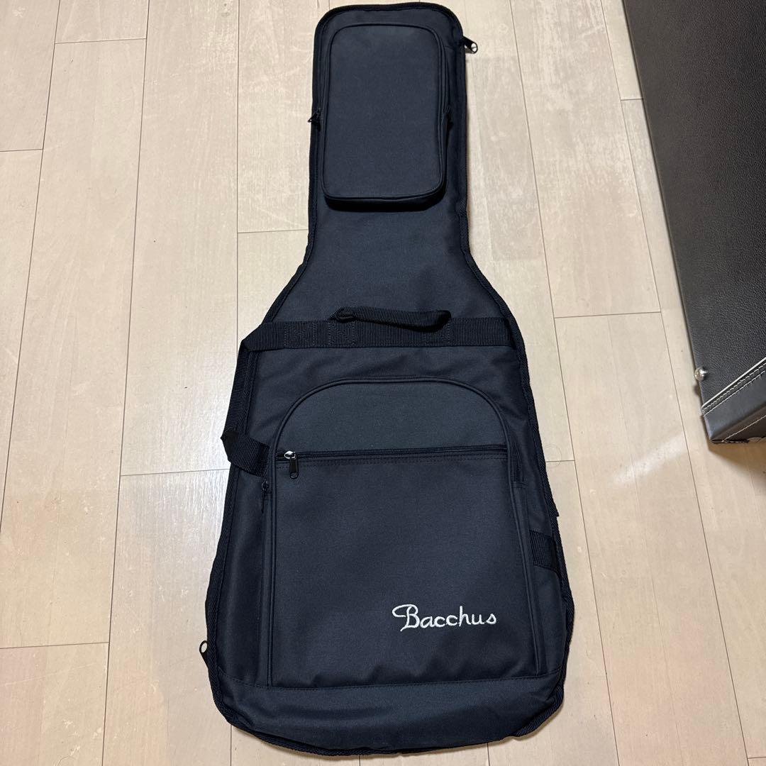 Bacchus テレキャスター 改造 Rio Grande搭載 時雨TK系