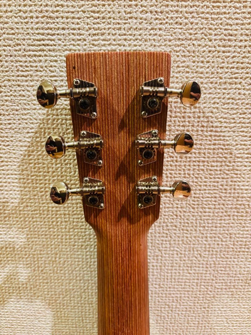 Martin & Co. アコースティックギター ギターケース付き