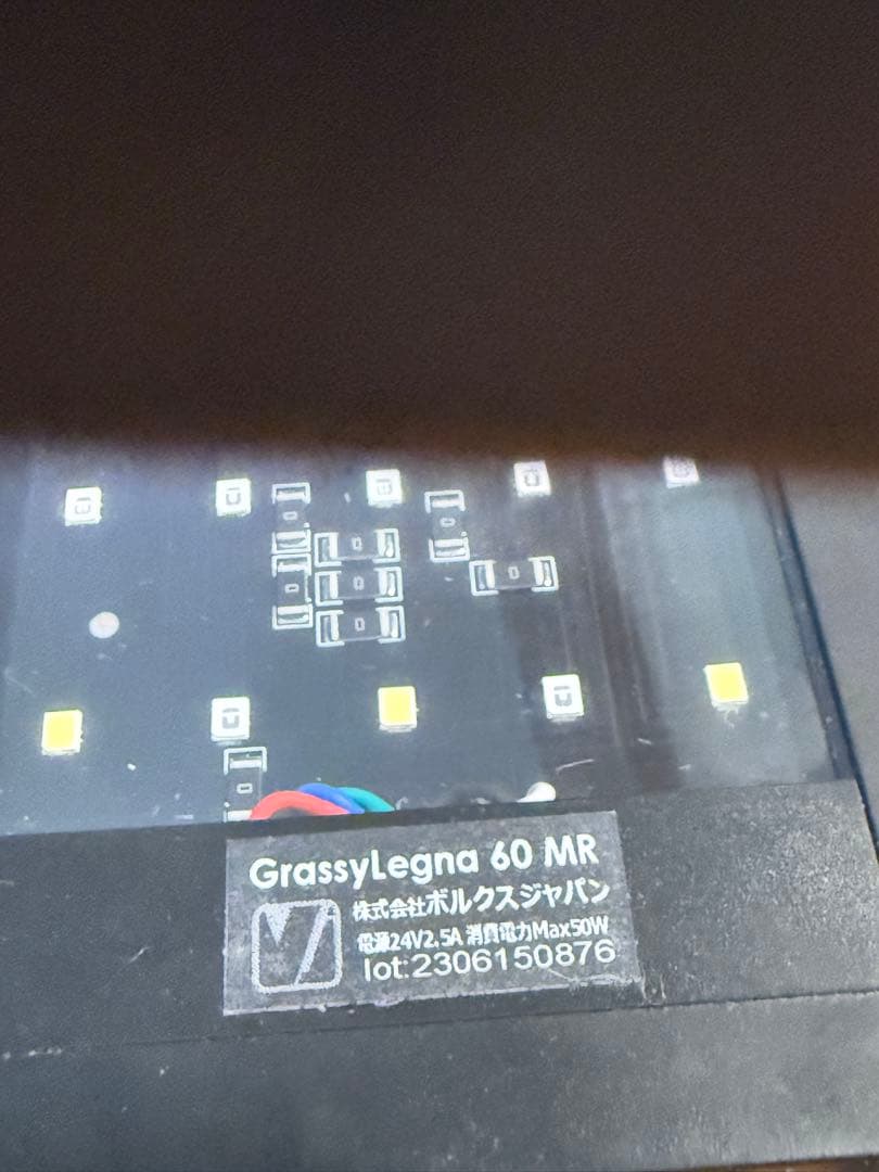 ボルクスジャパン　Ｇｒａｓｓｙ　Ｌｅｇｎａ　Ｍａｒｉｎｅ　６０　タイマー付き