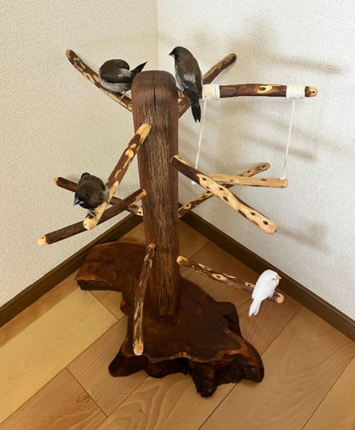 【中型鳥】ブランコ＆はしご付バードアスレチック♬