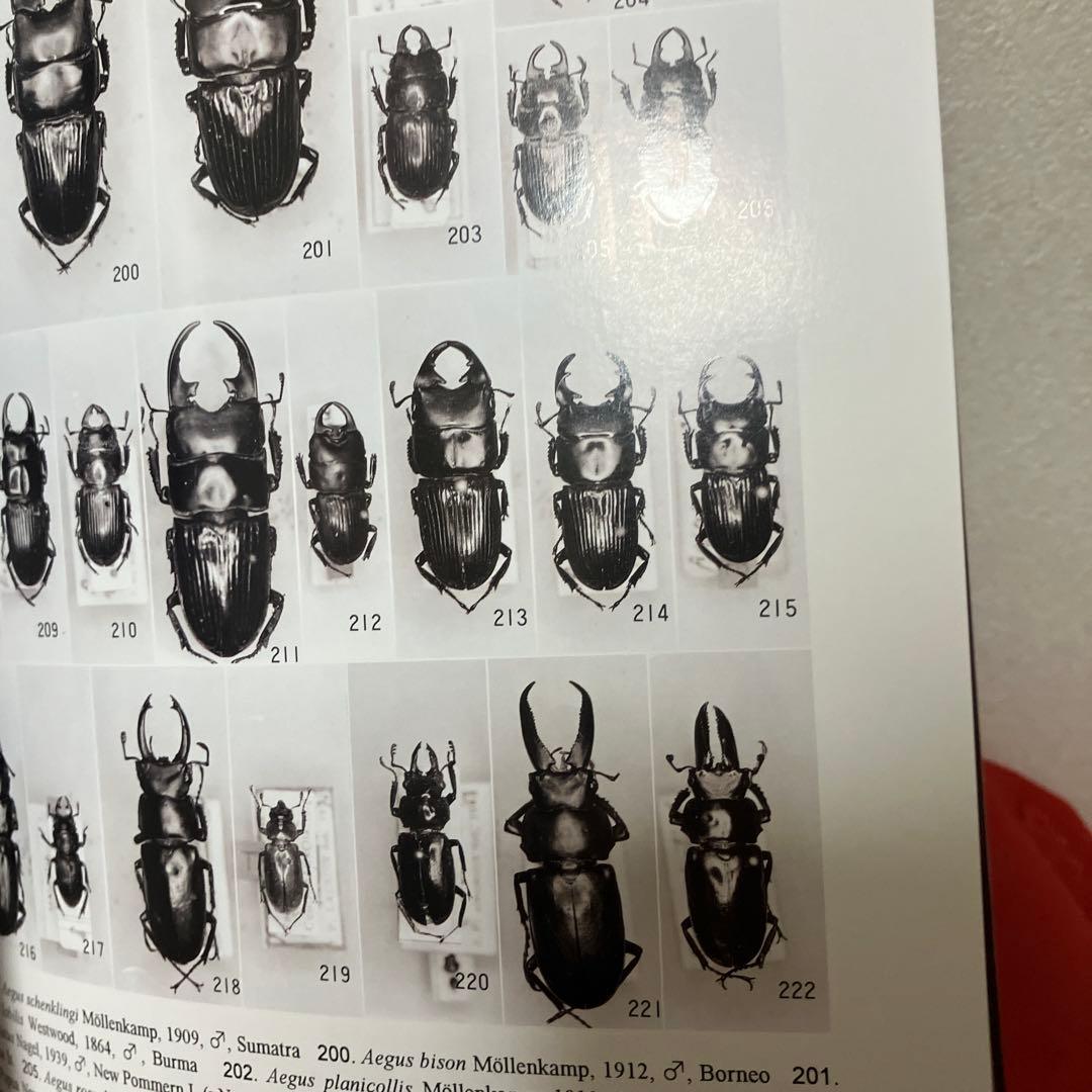 だ*ノ様 世界のクワガタムシ大図鑑