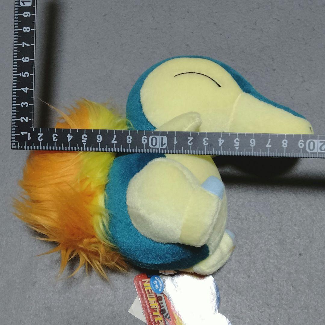 ヒノアラシ NEWポケモンぬいぐるみ