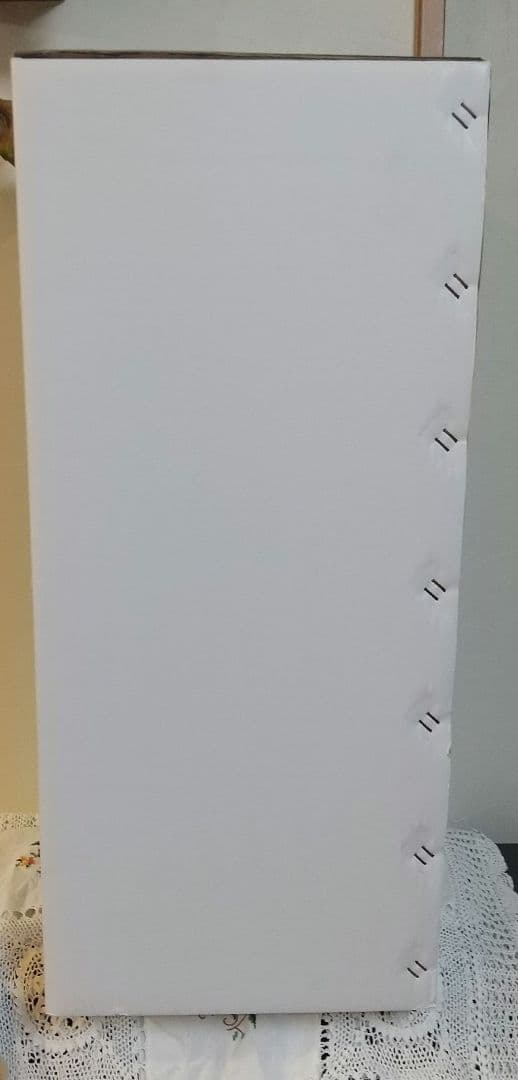 最終お値引き☆ ORCAオルカ プロテインスキマー バブルラッシュ BR-04