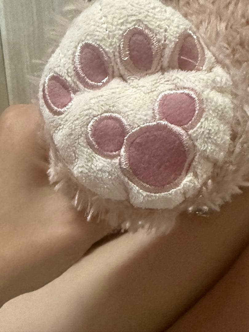 【超希少】ダッフィー•シェリーメイ　アミューズメント限定　12年前