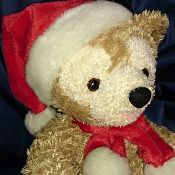 ダッフィー クリスマスぬいぐるみ
