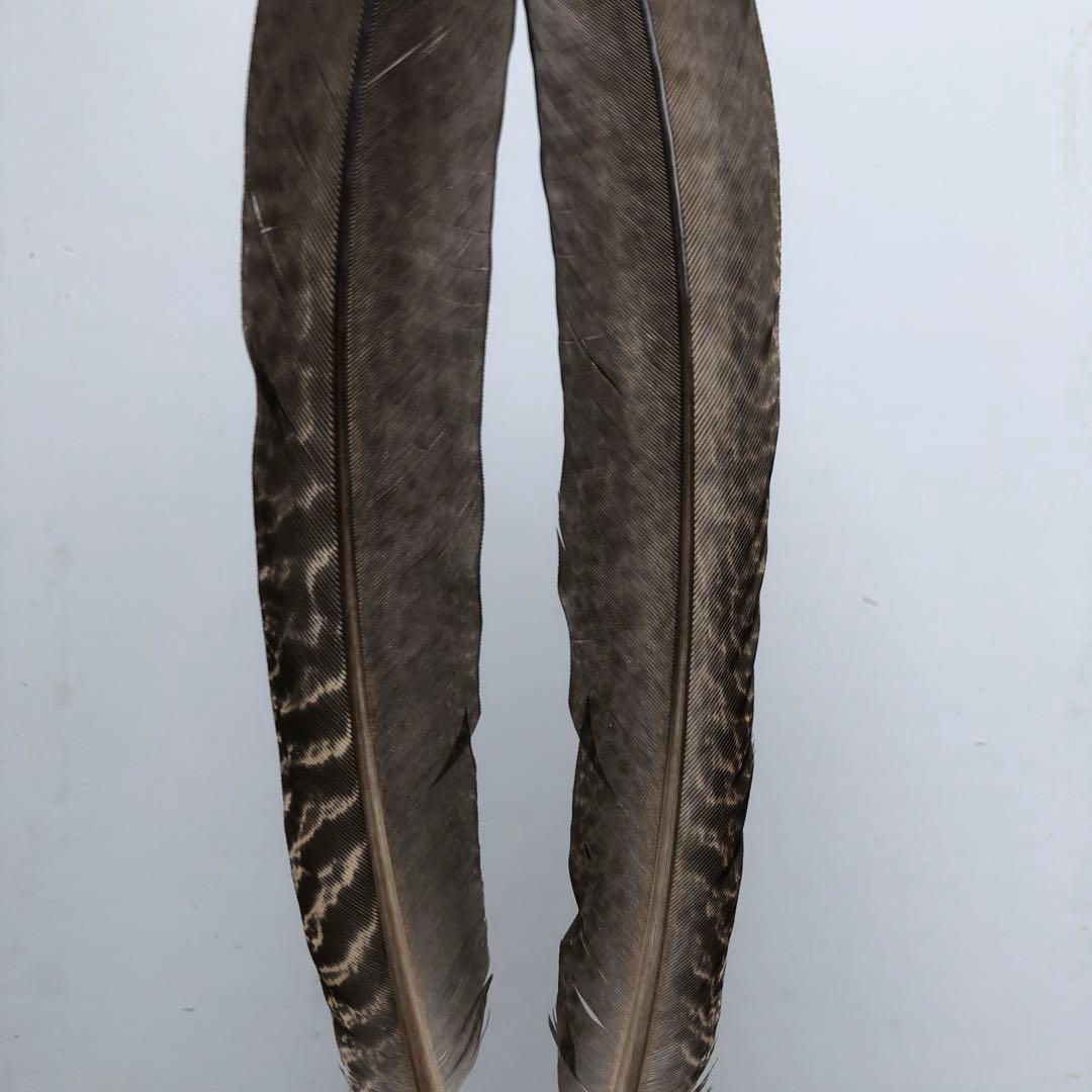 【H-40】天然　鳥　羽・羽根25枚★消毒済★