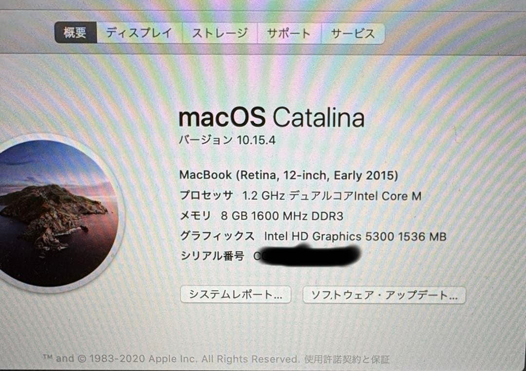 MacBook本体 MacBook 2015 1.2GHz 500GB