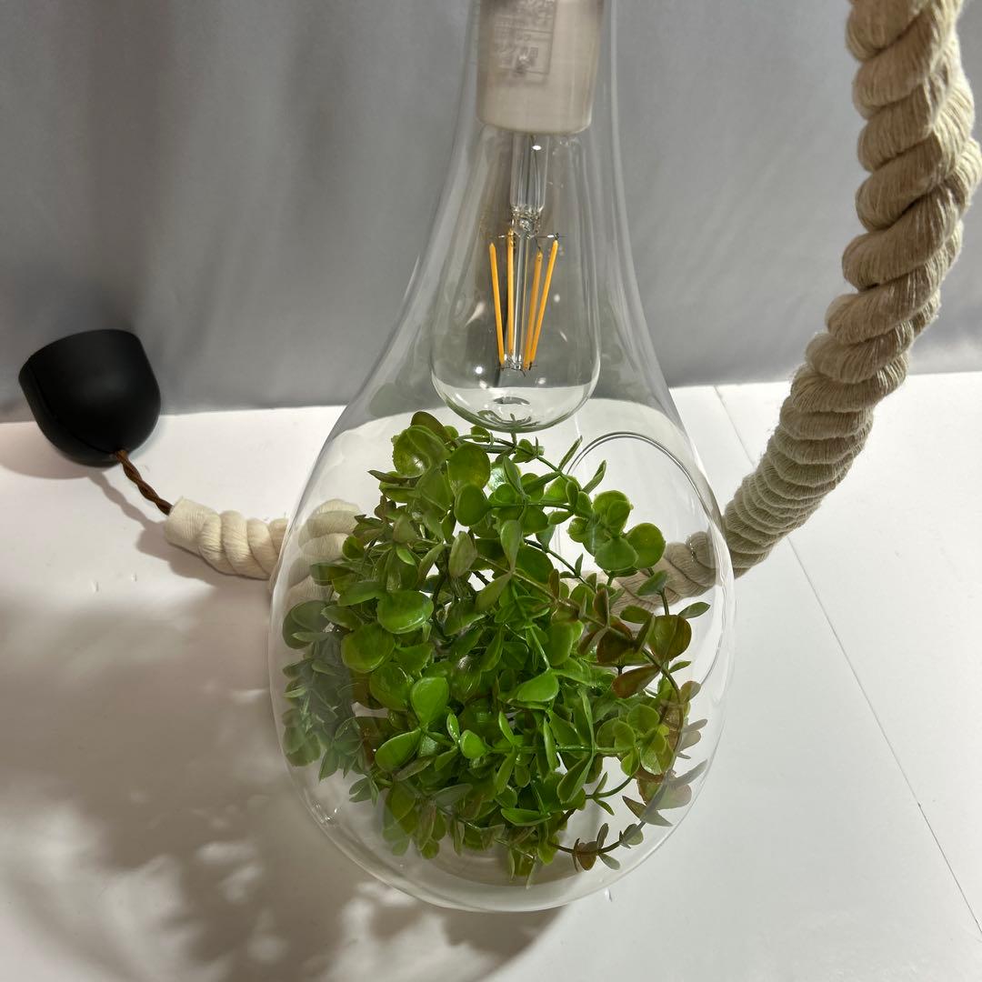 スワン電気 ボタニック ハンギングライト ペンダントライト ガラス ロープ