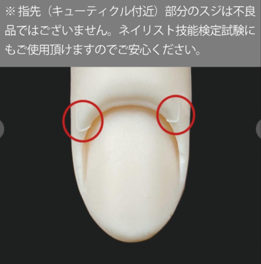 ネイリスト検定認定モデルハンド セット