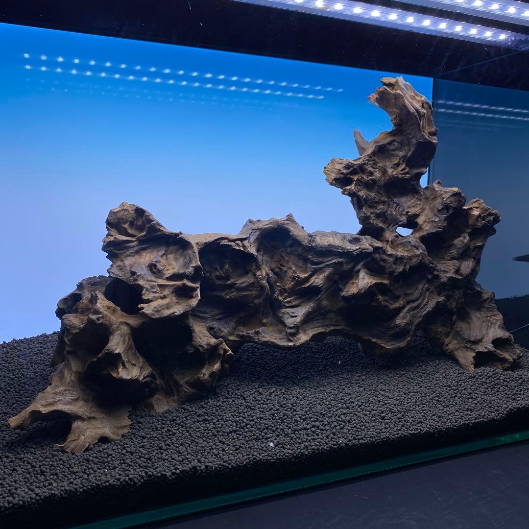 MRW-6570 特大自立赤系天然流木　1点物　流木　アクアリウム