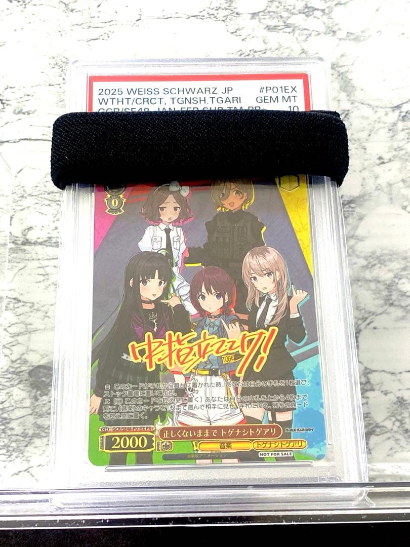 ブ*ズ様 ヴァイスシュヴァルツ ＰＲ＋　正しくないままでトゲナシトゲアリ　ＰＳＡ