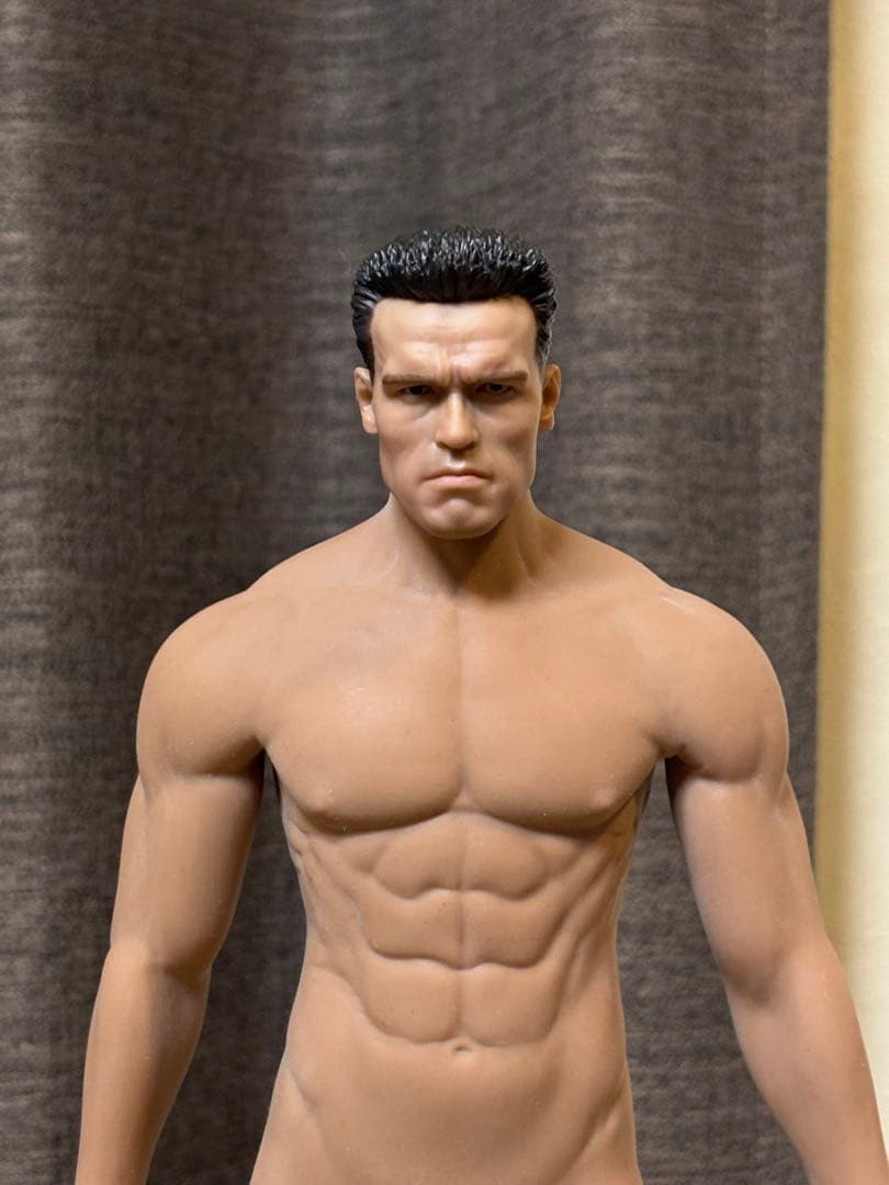 ターミネーター 転送時version 1/6 シームレスボディ