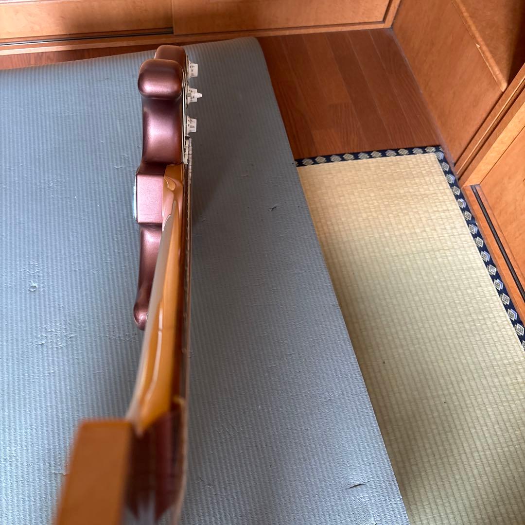 1980年代ESP カスタムオーダー