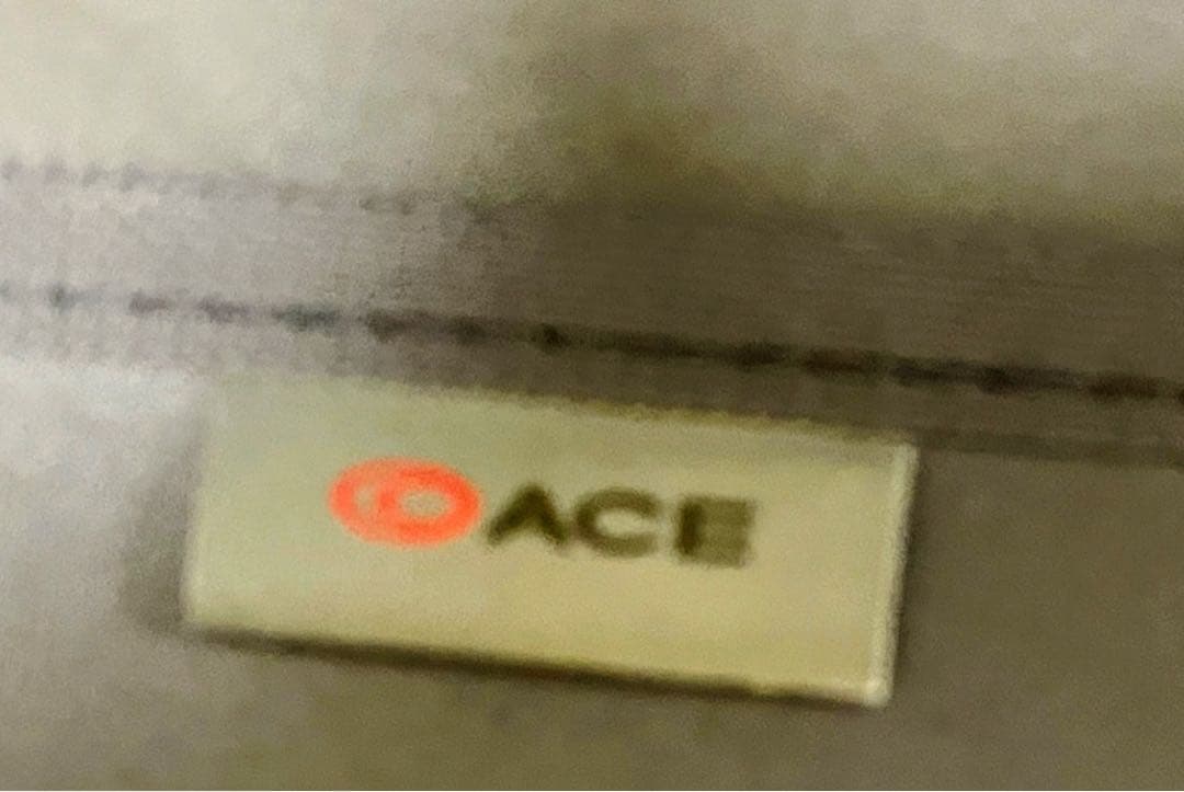 【マホ様】スーツケースキャリーケースバッグ 旅行ACE エースピジョール軽量鍵