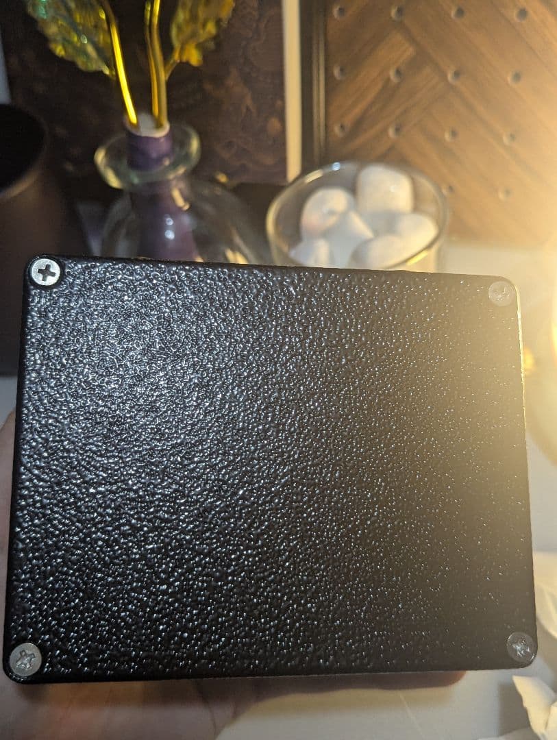 browne amplification PROTEIN クローン