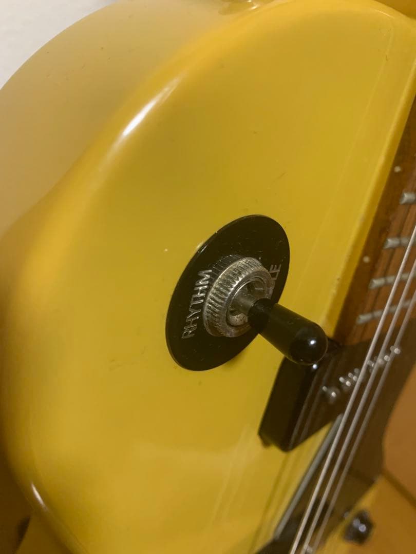 Epiphone Les Paul Special ケース 付