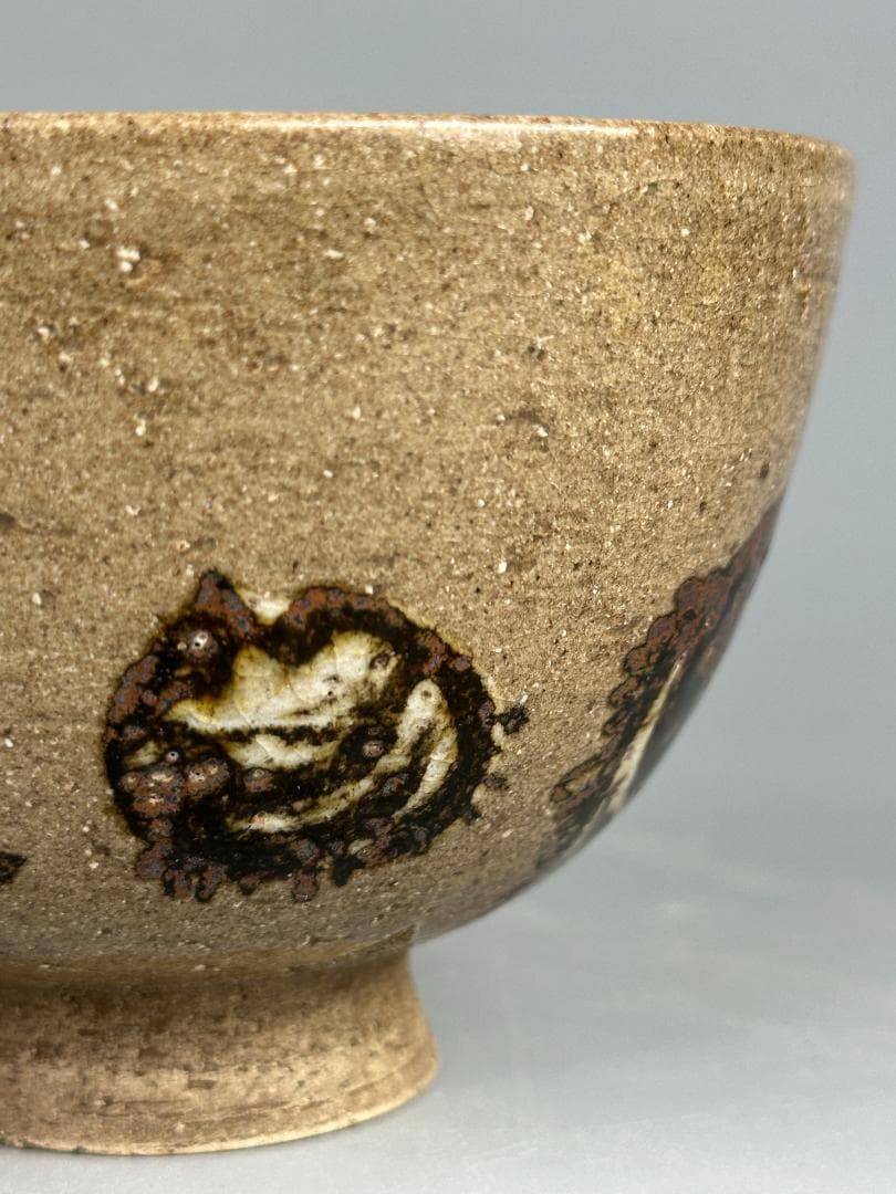 日本美術 尾形乾山写 茶碗 湯呑み 貝図茶碗 木箱入り