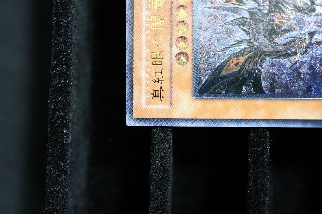 真紅眼の闇竜 レッドアイズ・ダークネスドラゴン 遊戯王 W65-JP001