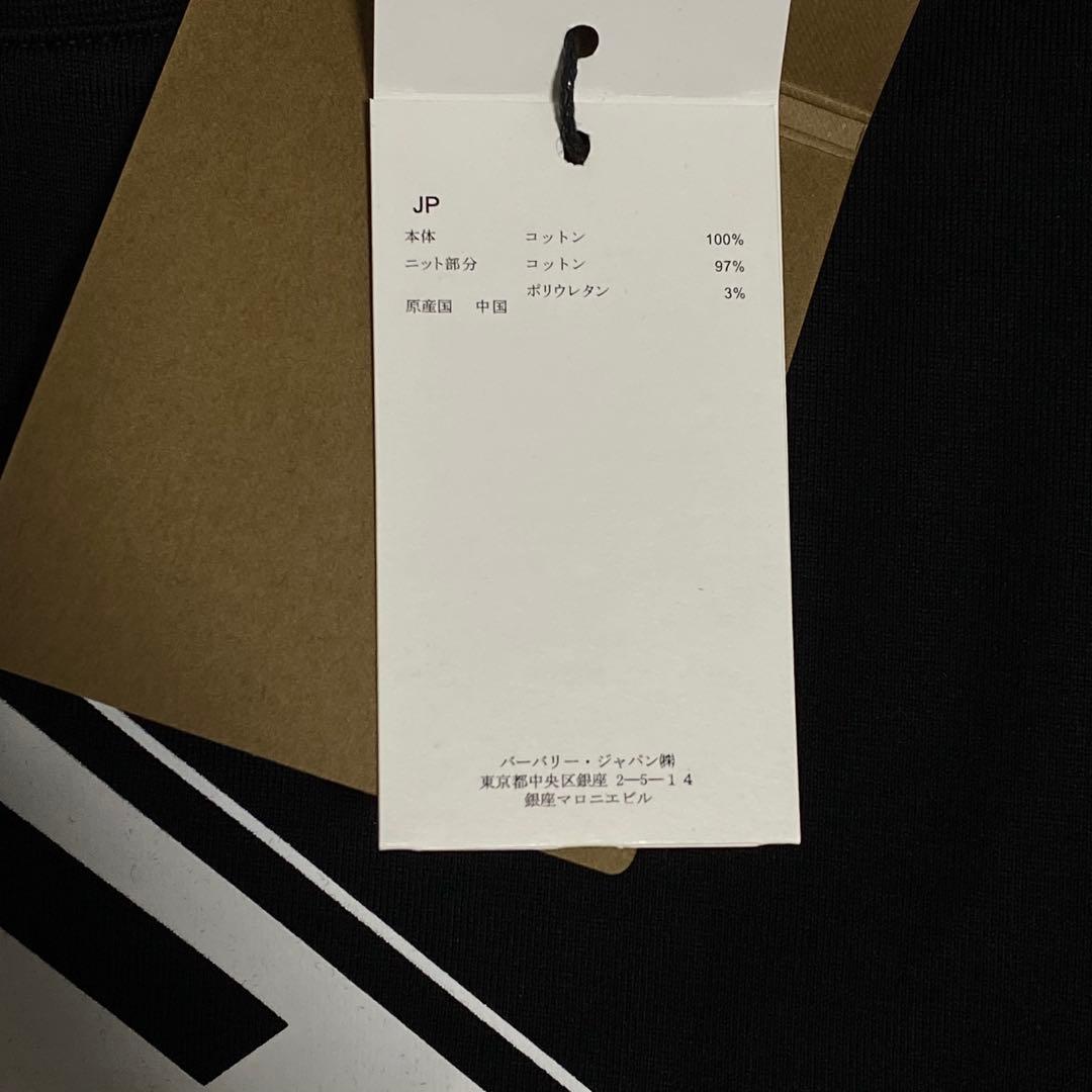 BURBERRY バーバリー　ロゴプリント Tシャツ　Lサイズ