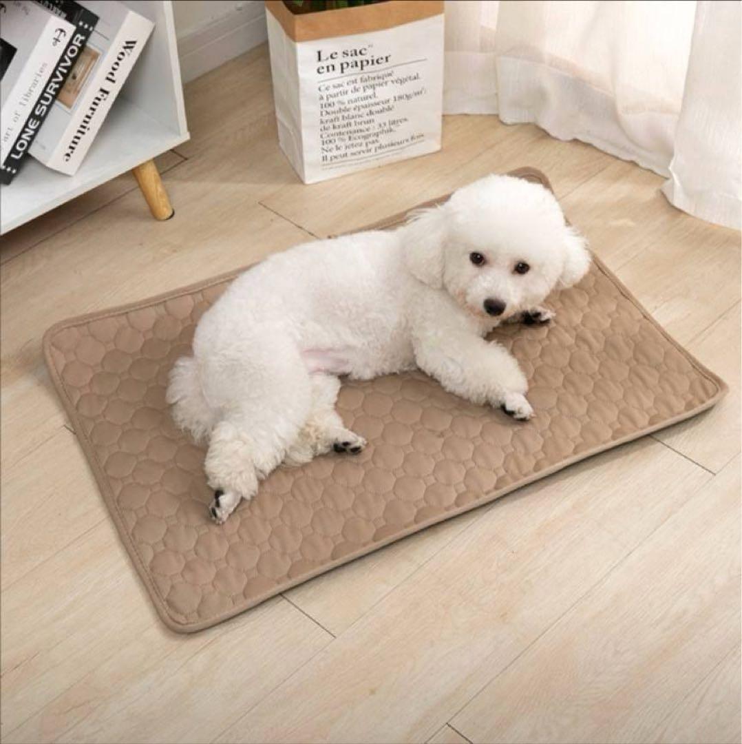 ペットシーツ シート トイレ おしっこマット 犬猫　 洗える　2枚　ベージュ