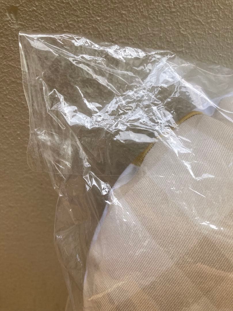 武知海青 RAMPAGE クッション バースデー オンラインブース プチキャラ