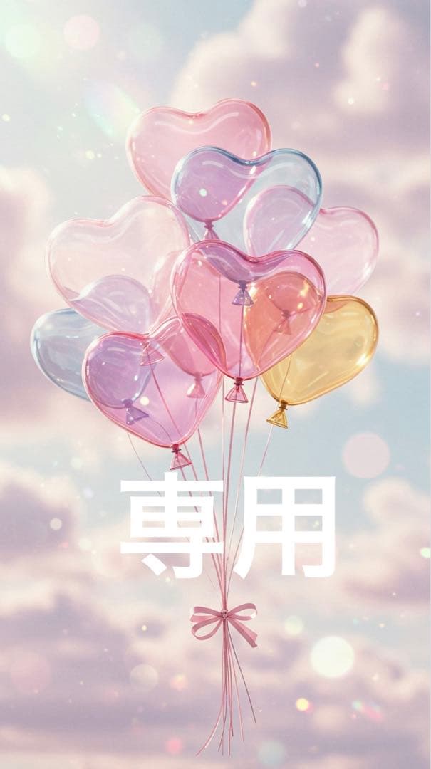 専用です⭐︎