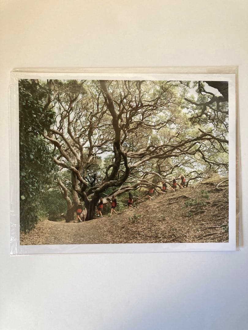 横浪修　Osamu Yokonami プリント