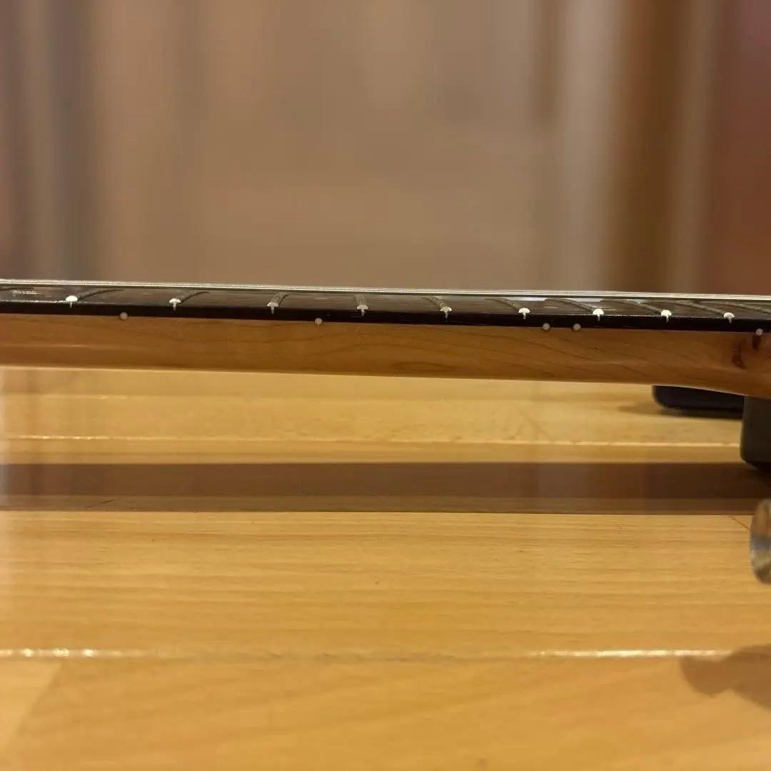 FERNANDES THE FUNCTION ストラトゴールドパーツ仕様アーム付