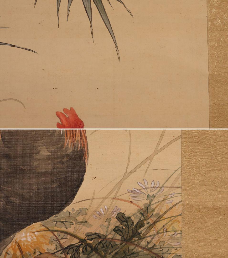 【模写】日本画 荒木寛畝 鶏図 絹本 掛軸 花鳥 MB155