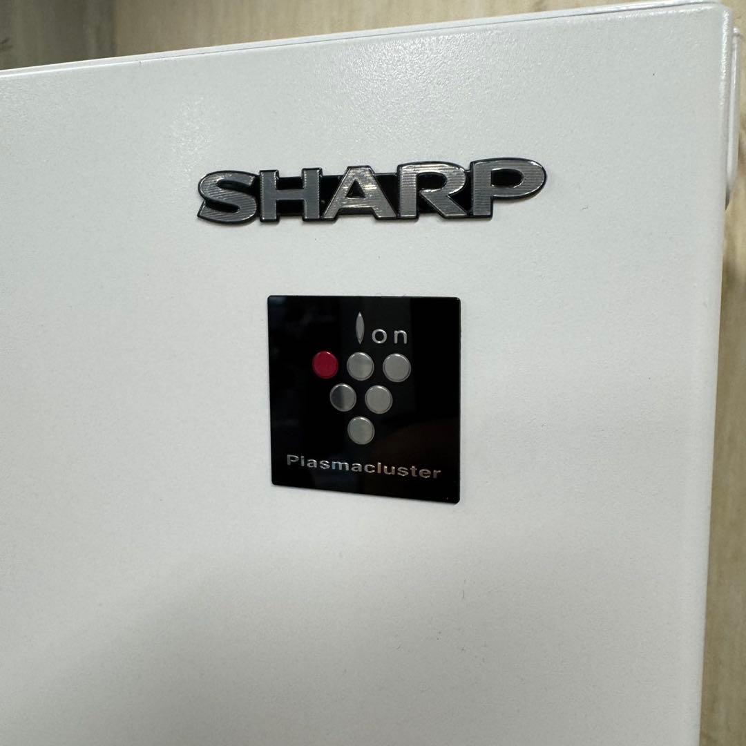 156 冷蔵庫　小型　中型　大型　マルチ冷蔵庫　極美品　200L強　半年保証付