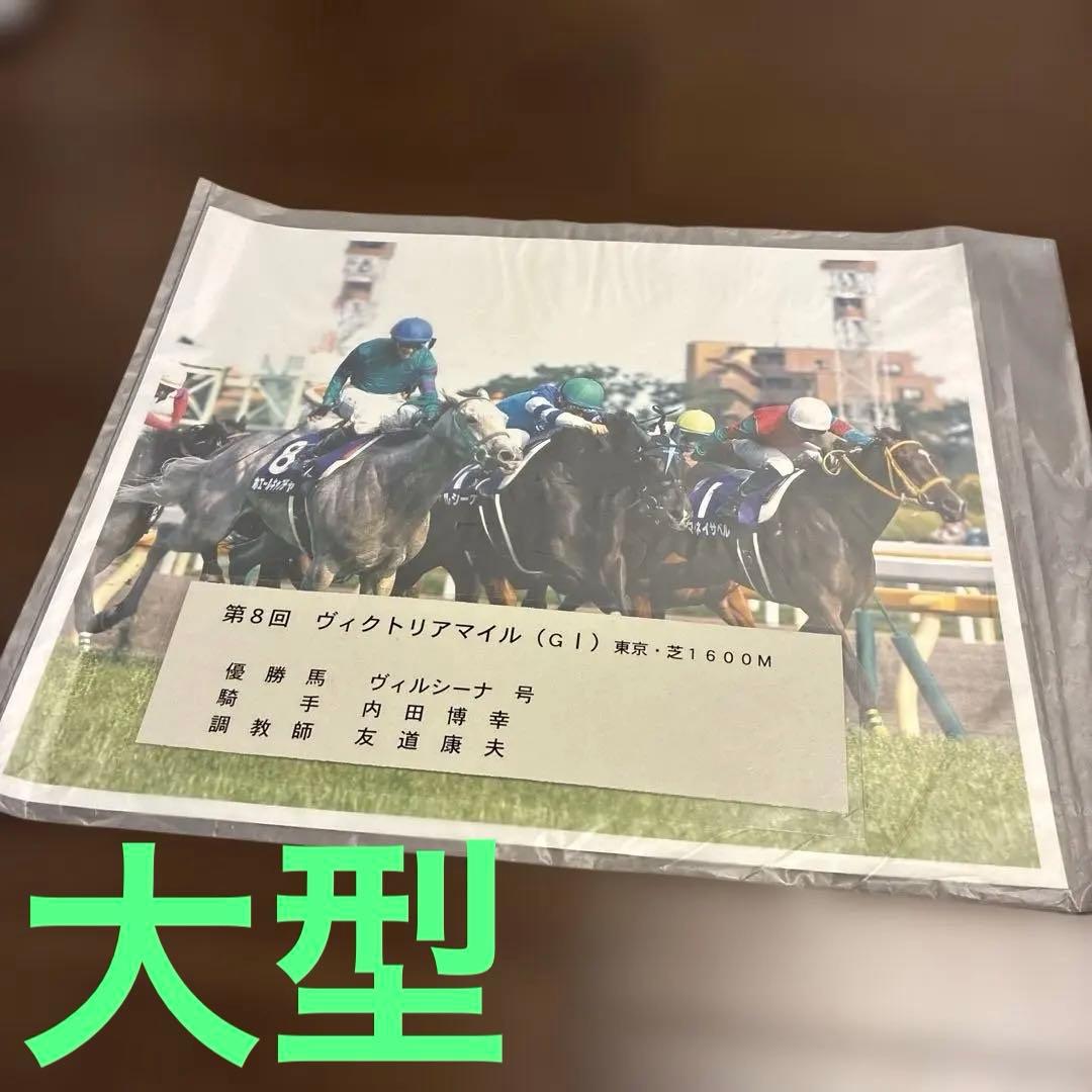 第8回ヴィクトリアマイル 優勝馬ヴィルシーナ