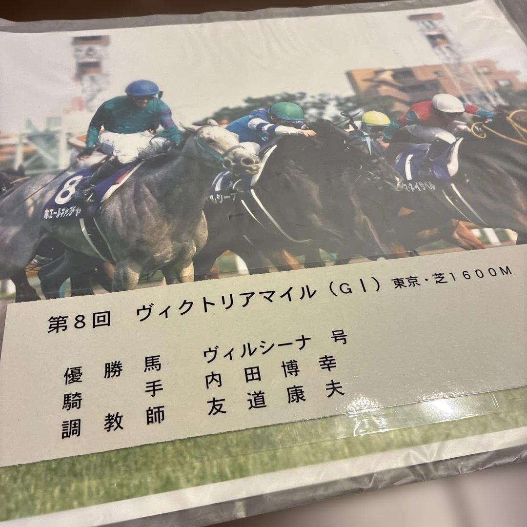 第8回ヴィクトリアマイル 優勝馬ヴィルシーナ