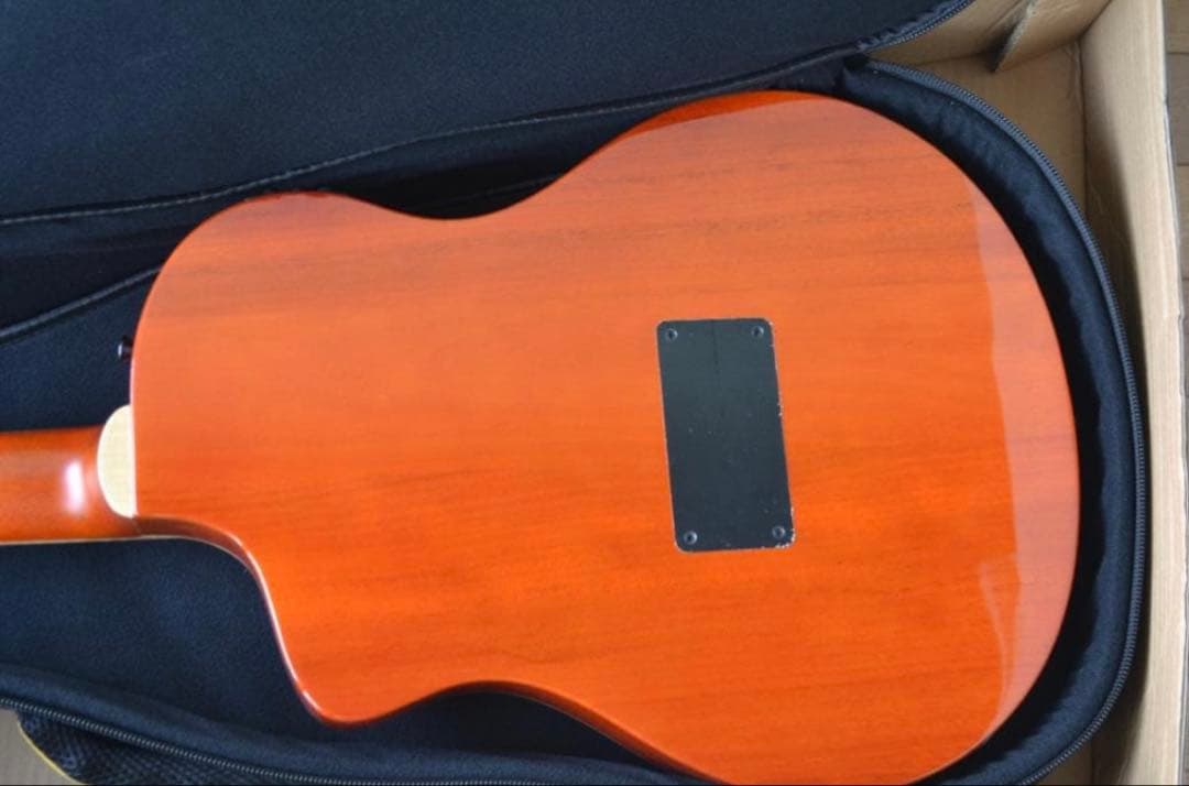 【ほぼ新品】Ortega RTPDLX-FMA TOURPLAYER エレガット