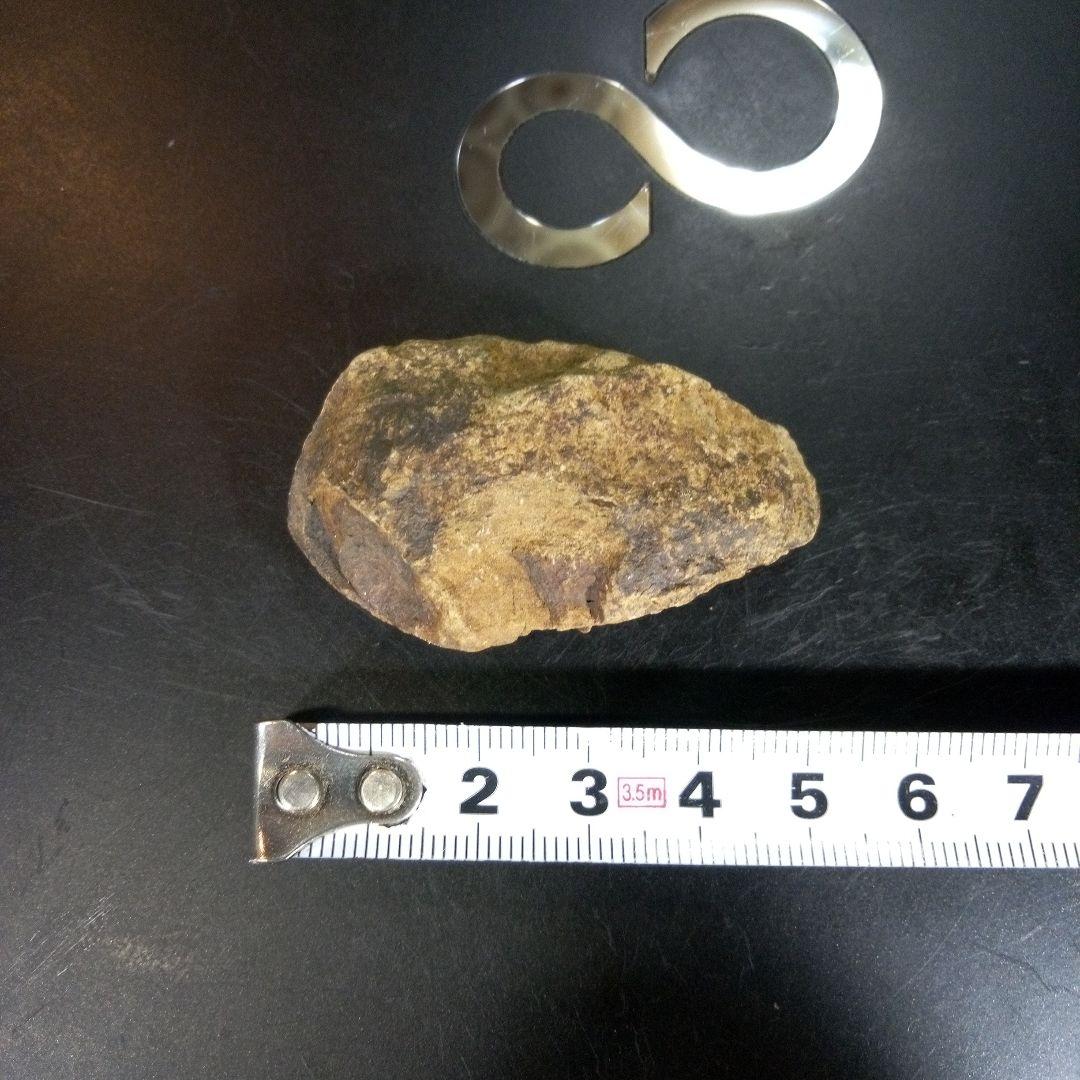 三葉虫　化石　fossil　ボリビア産　trilobite　ノジュール判別⑥