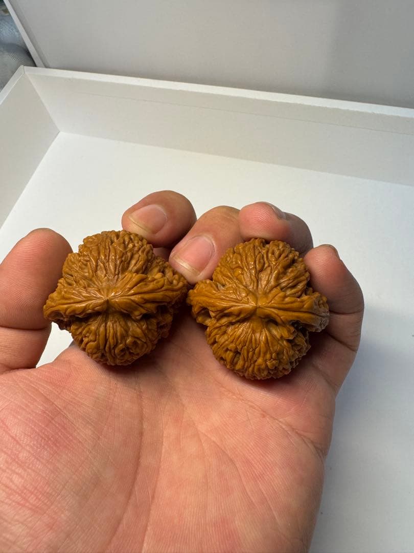 希少文玩核桃 南疆石 極太楞特徴