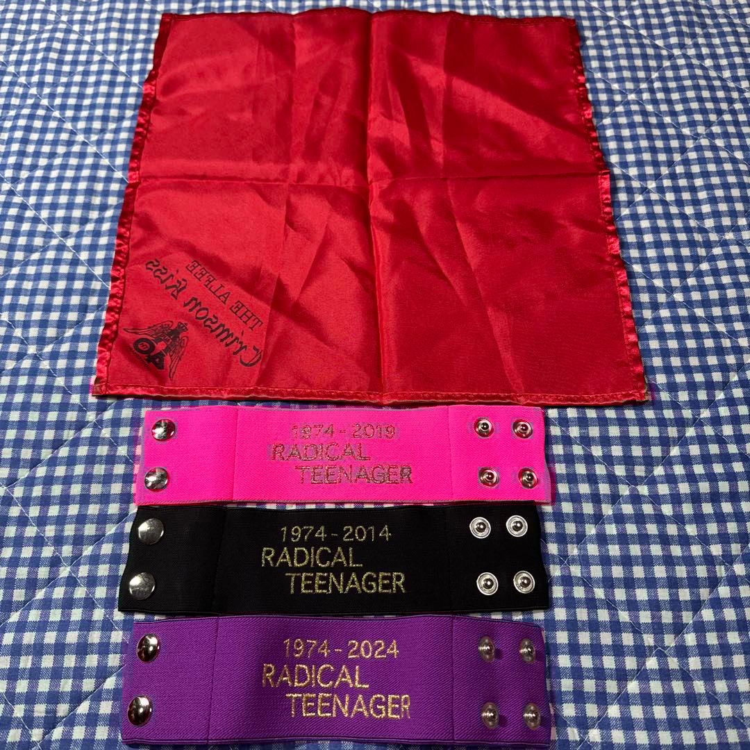 THE ALFEE 40周年 リストバンド ハンカチ