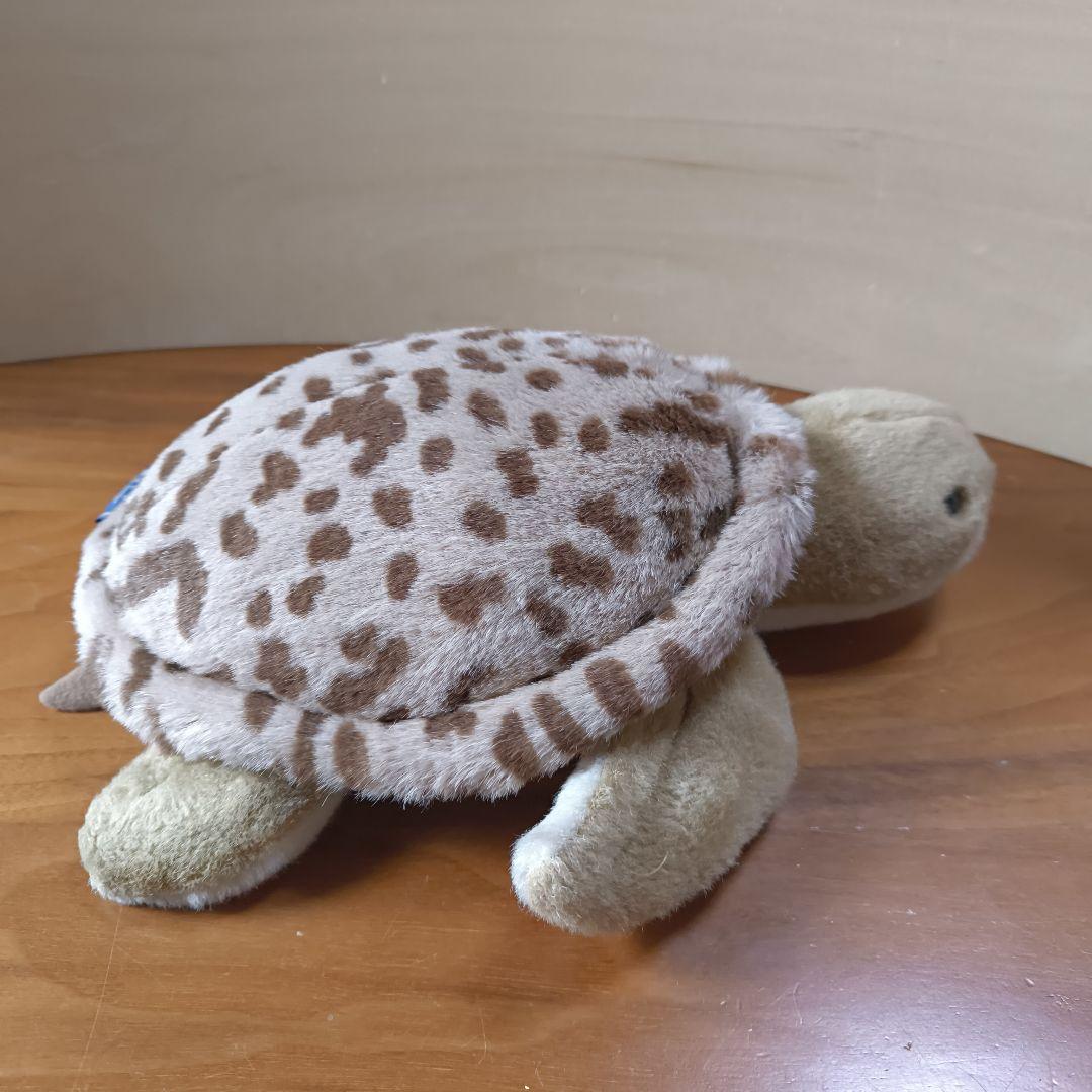 Earth Wind セキグチ　ウミガメ　ぬいぐるみ　アースウィンド　海亀