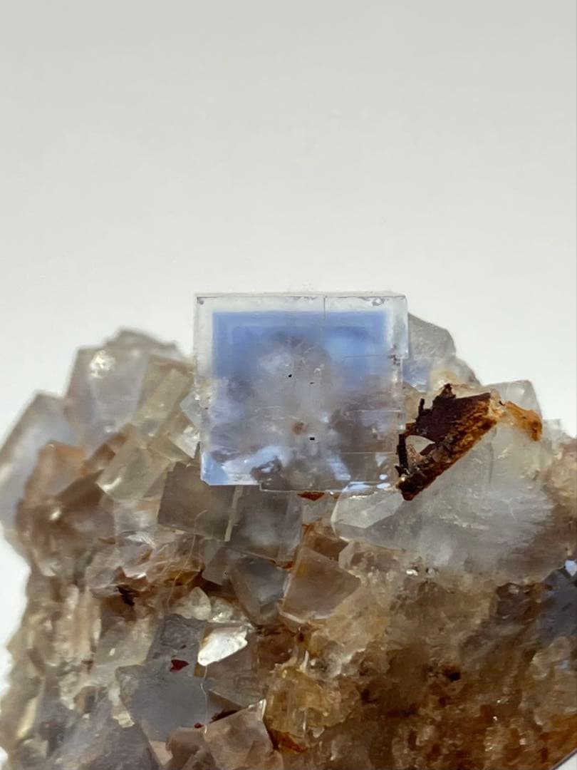 フローライト　ブラックフォレスト　黒い森